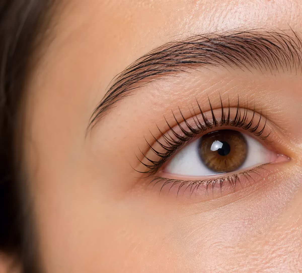 Nærbillede af naturlige vipper efter Lash Lift med tydelig bue og mere åbent blik